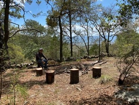 Círculo de troncos alrededor de la fogata