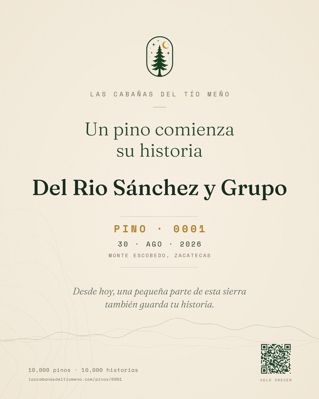 Pino #0001 · Del Rio Sánchez y Grupo