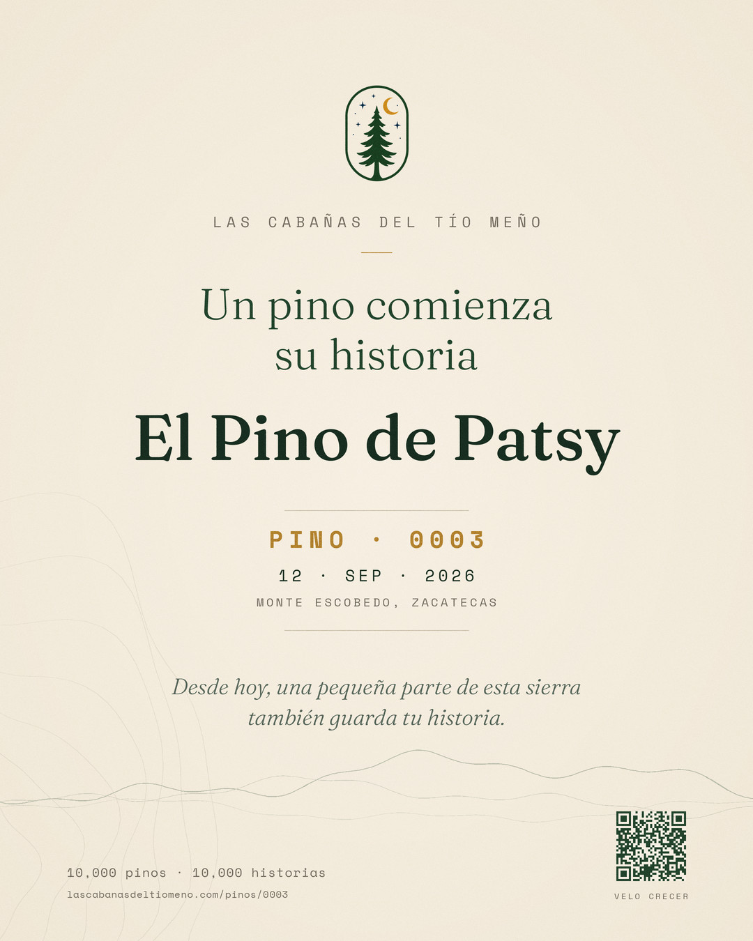 Pino #0003 · El Pino de Patsy